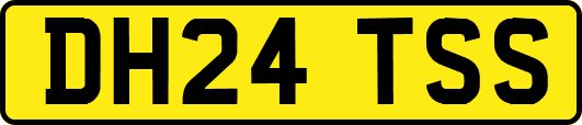 DH24TSS