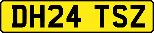 DH24TSZ