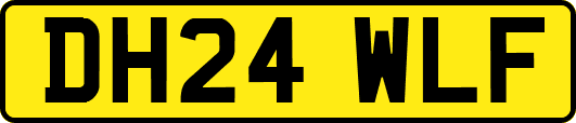DH24WLF