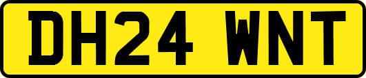 DH24WNT