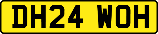 DH24WOH