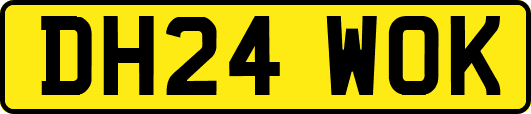 DH24WOK