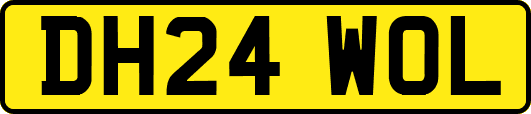 DH24WOL