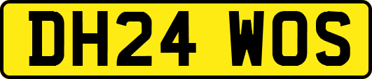 DH24WOS