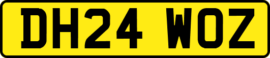 DH24WOZ