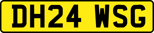 DH24WSG