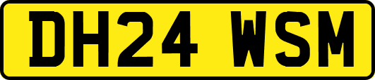 DH24WSM