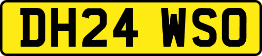 DH24WSO