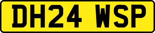 DH24WSP