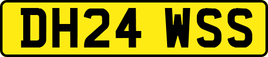 DH24WSS