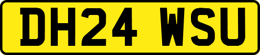 DH24WSU