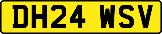 DH24WSV