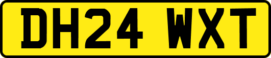 DH24WXT