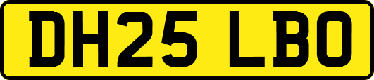 DH25LBO