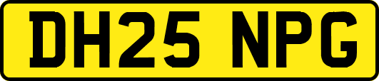 DH25NPG
