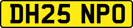 DH25NPO