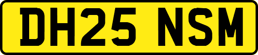 DH25NSM