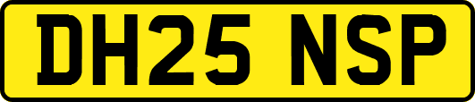 DH25NSP