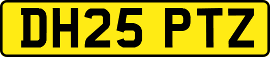 DH25PTZ