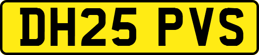 DH25PVS