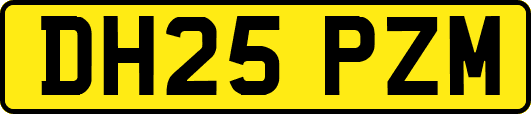 DH25PZM