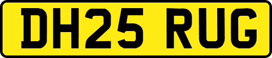 DH25RUG