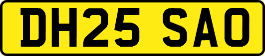 DH25SAO