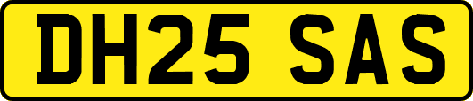 DH25SAS