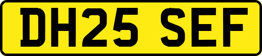 DH25SEF
