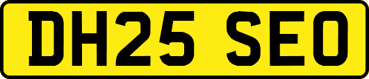 DH25SEO