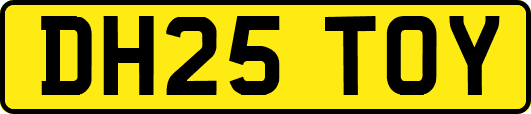 DH25TOY