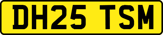 DH25TSM