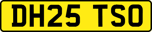 DH25TSO