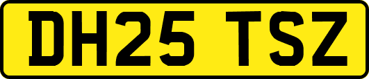 DH25TSZ