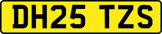 DH25TZS
