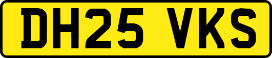 DH25VKS
