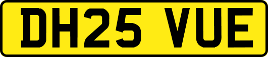 DH25VUE