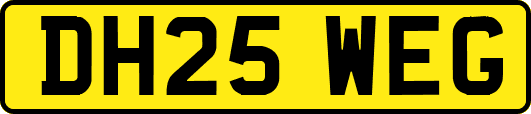 DH25WEG