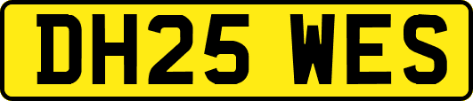 DH25WES