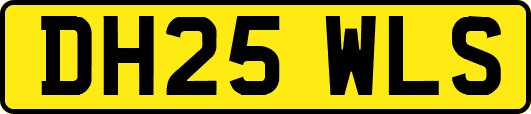 DH25WLS