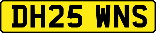 DH25WNS