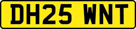 DH25WNT