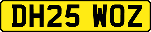 DH25WOZ