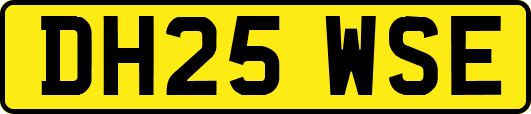 DH25WSE