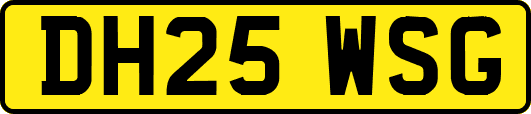 DH25WSG