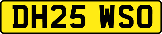 DH25WSO