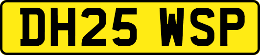 DH25WSP
