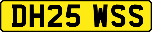 DH25WSS
