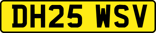 DH25WSV