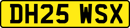 DH25WSX